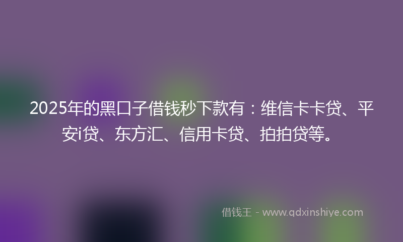 2025年的黑口子借钱秒下款有：维信卡卡贷、平安i贷、东方汇、信用卡贷、拍拍贷等。