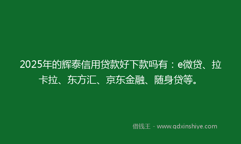 2025年的辉泰信用贷款好下款吗有：e微贷、拉卡拉、东方汇、京东金融、随身贷等。