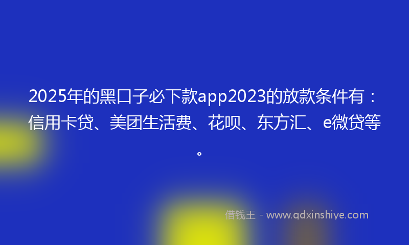 2025年的黑口子必下款app2023的放款条件有：信用卡贷、美团生活费、花呗、东方汇、e微贷等。