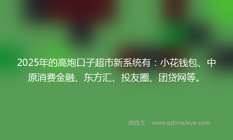 2025年的高炮口子超市新系统有：小花钱包、中原消费金融、东方汇、投友圈、团贷网等。