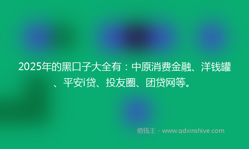 2025年的黑口子大全有：中原消费金融、洋钱罐、平安i贷、投友圈、团贷网等。