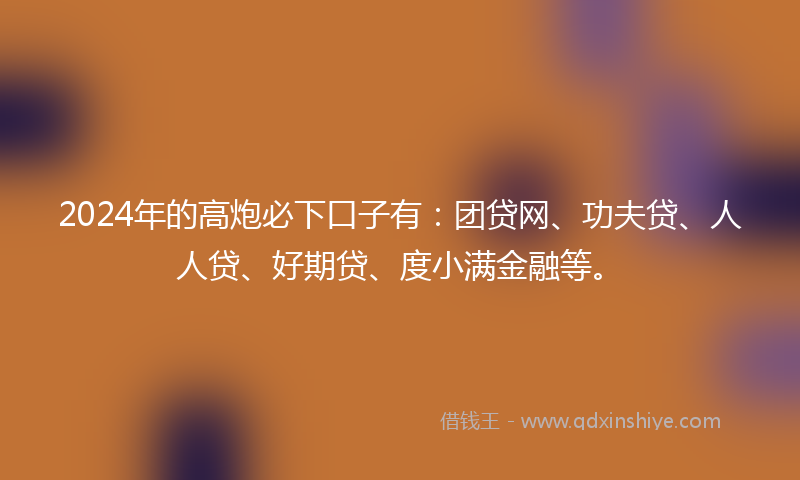 2024年的高炮必下口子有：团贷网、功夫贷、人人贷、好期贷、度小满金融等。