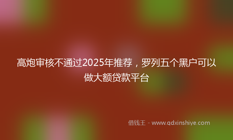 高炮审核不通过2025年推荐，罗列五个黑户可以做大额贷款平台