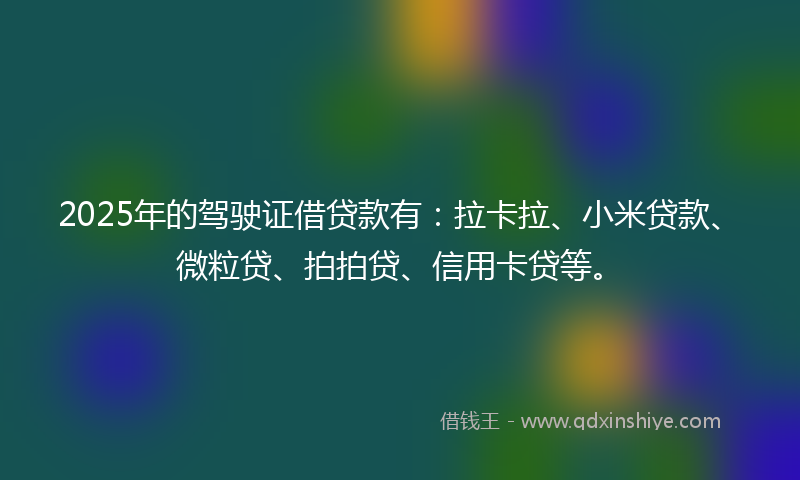2025年的驾驶证借贷款有：拉卡拉、小米贷款、微粒贷、拍拍贷、信用卡贷等。