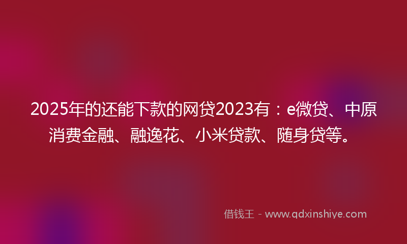 2025年的还能下款的网贷2023有：e微贷、中原消费金融、融逸花、小米贷款、随身贷等。