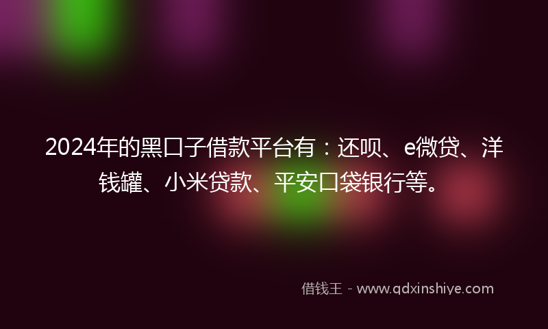 2024年的黑口子借款平台有：还呗、e微贷、洋钱罐、小米贷款、平安口袋银行等。