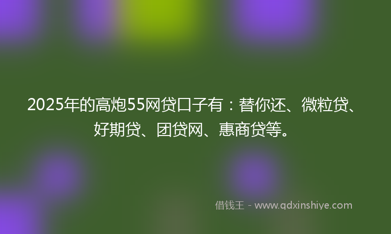 2025年的高炮55网贷口子有：替你还、微粒贷、好期贷、团贷网、惠商贷等。