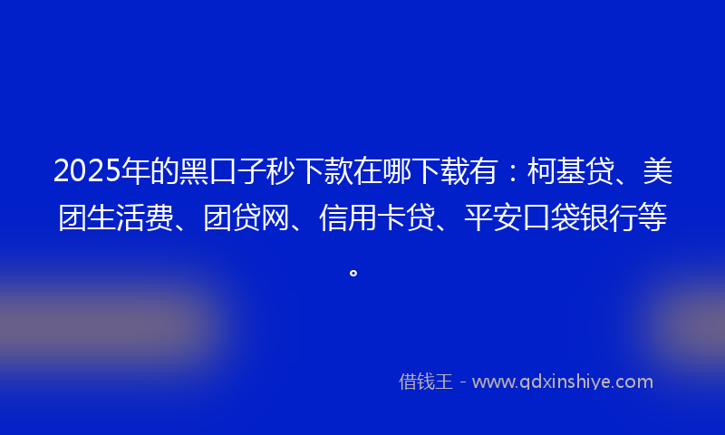 2025年的黑口子秒下款在哪下载有：柯基贷、美团生活费、团贷网、信用卡贷、平安口袋银行等。