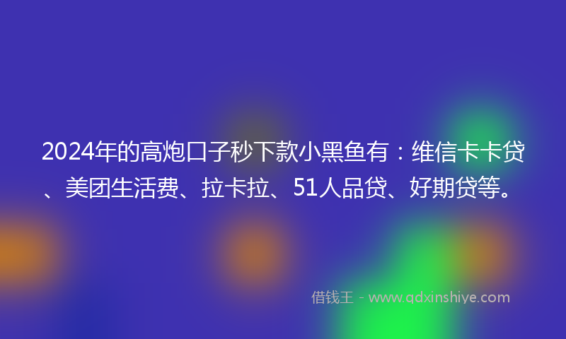2024年的高炮口子秒下款小黑鱼有：维信卡卡贷、美团生活费、拉卡拉、51人品贷、好期贷等。