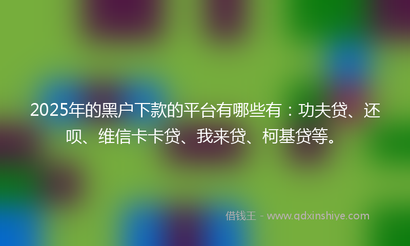 2025年的黑户下款的平台有哪些有：功夫贷、还呗、维信卡卡贷、我来贷、柯基贷等。