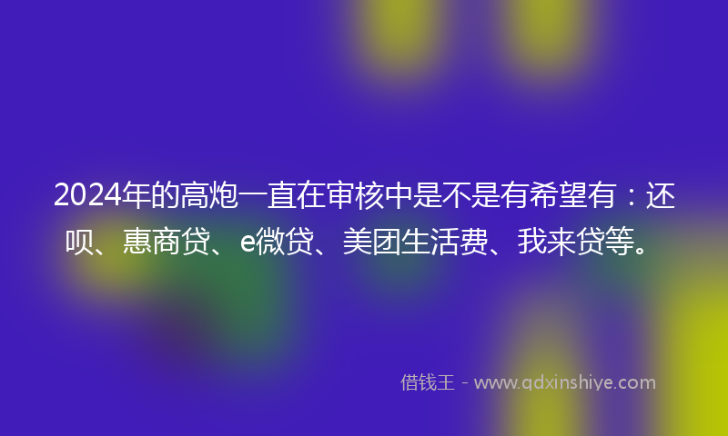 2024年的高炮一直在审核中是不是有希望有：还呗、惠商贷、e微贷、美团生活费、我来贷等。