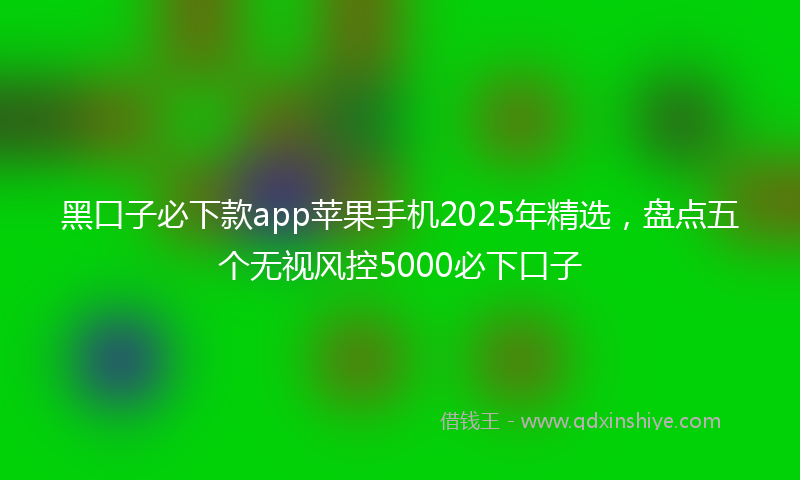 黑口子必下款app苹果手机2025年精选，盘点五个无视风控5000必下口子