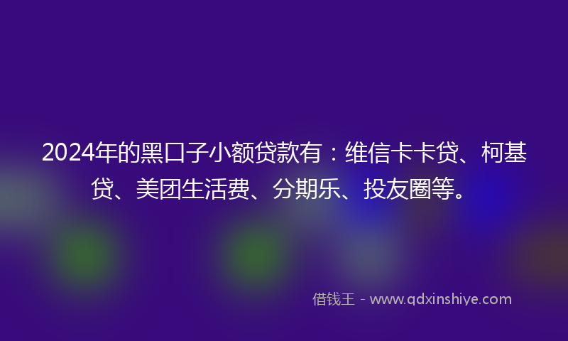 2024年的黑口子小额贷款有：维信卡卡贷、柯基贷、美团生活费、分期乐、投友圈等。