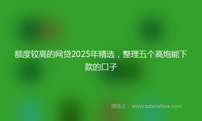 额度较高的网贷2025年精选，整理五个高炮能下款的口子