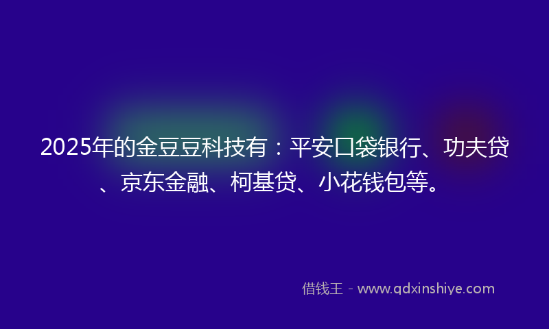 2025年的金豆豆科技有：平安口袋银行、功夫贷、京东金融、柯基贷、小花钱包等。