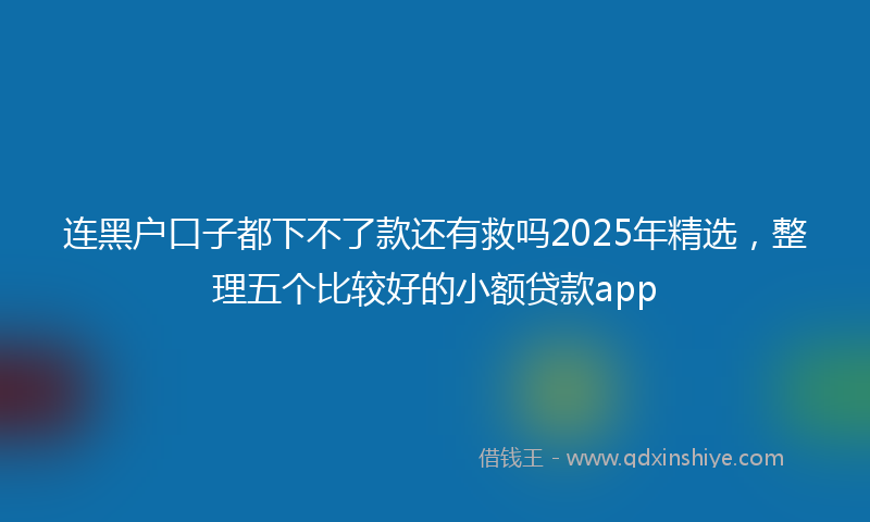连黑户口子都下不了款还有救吗2025年精选，整理五个比较好的小额贷款app