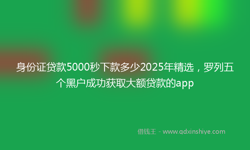 身份证贷款5000秒下款多少2025年精选，罗列五个黑户成功获取大额贷款的app