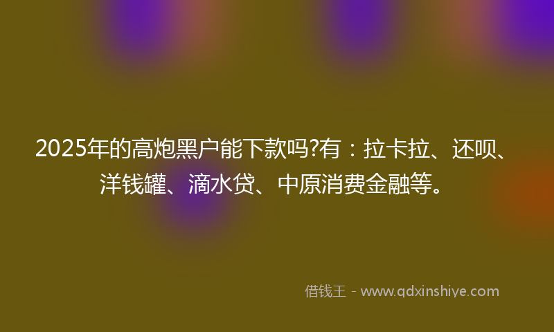 2025年的高炮黑户能下款吗?有：拉卡拉、还呗、洋钱罐、滴水贷、中原消费金融等。