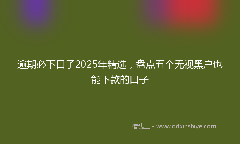 逾期必下口子2025年精选，盘点五个无视黑户也能下款的口子