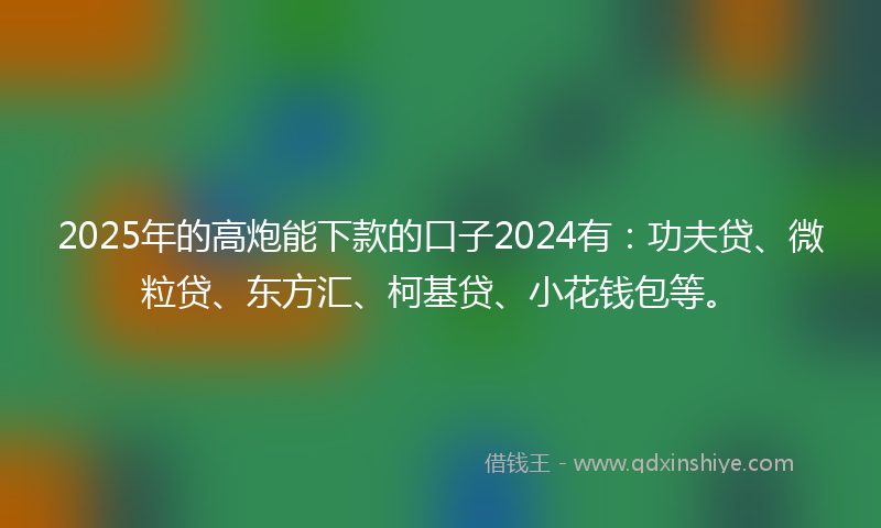 2025年的高炮能下款的口子2024有：功夫贷、微粒贷、东方汇、柯基贷、小花钱包等。