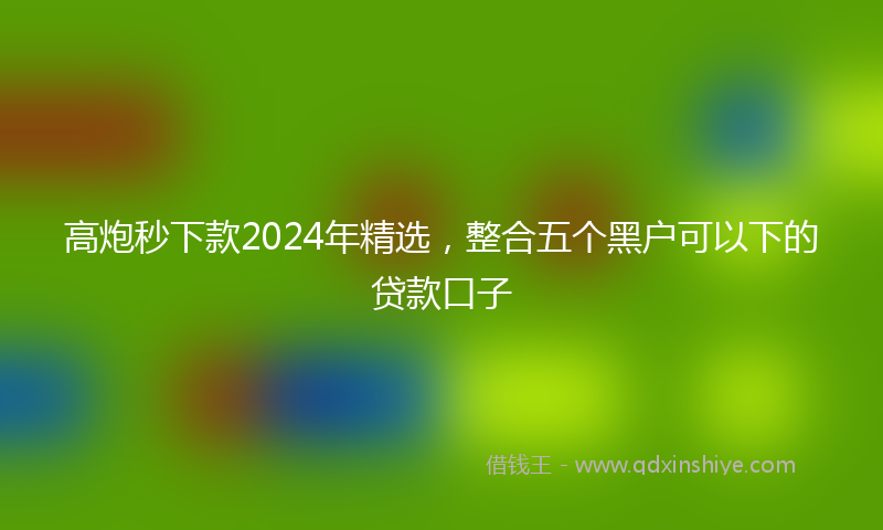 高炮秒下款2024年精选，整合五个黑户可以下的贷款口子