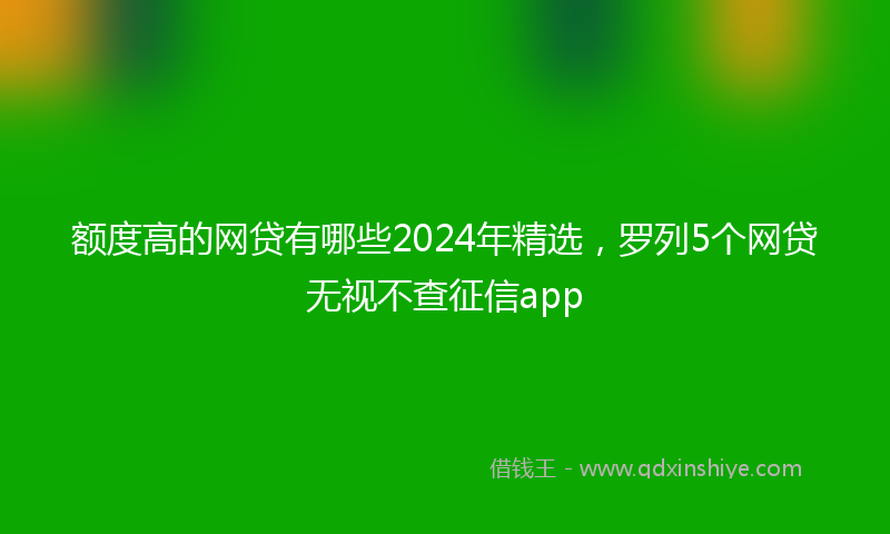 额度高的网贷有哪些2024年精选，罗列5个网贷无视不查征信app