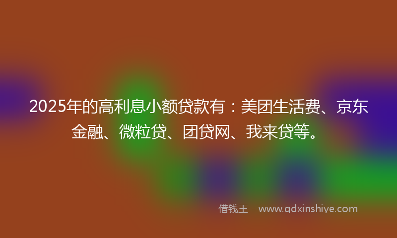 2025年的高利息小额贷款有：美团生活费、京东金融、微粒贷、团贷网、我来贷等。