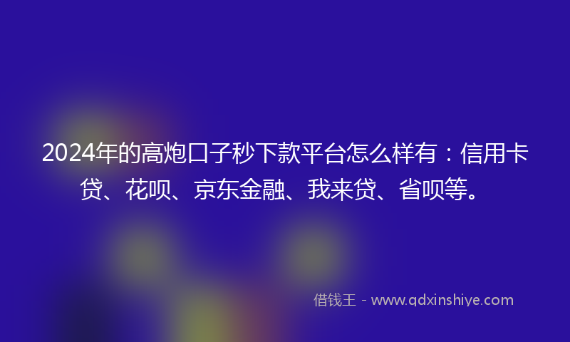 2024年的高炮口子秒下款平台怎么样有：信用卡贷、花呗、京东金融、我来贷、省呗等。