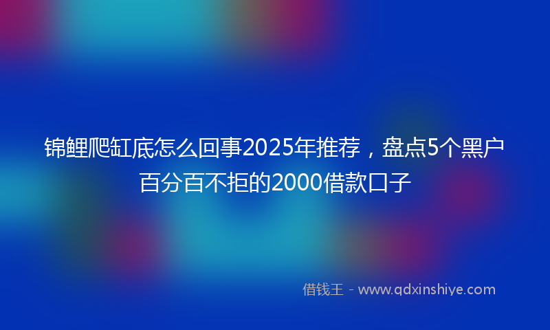 锦鲤爬缸底怎么回事2025年推荐，盘点5个黑户百分百不拒的2000借款口子