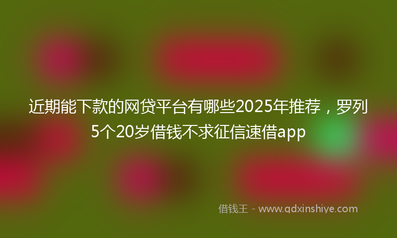 近期能下款的网贷平台有哪些2025年推荐，罗列5个20岁借钱不求征信速借app
