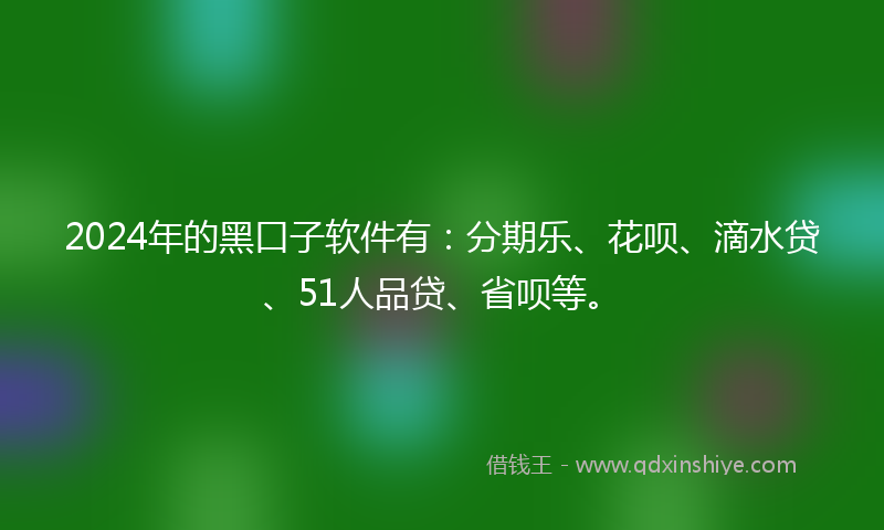2024年的黑口子软件有：分期乐、花呗、滴水贷、51人品贷、省呗等。