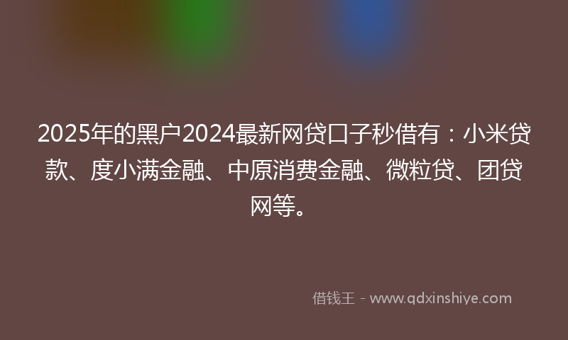 2025年的黑户2024最新网贷口子秒借有：小米贷款、度小满金融、中原消费金融、微粒贷、团贷网等。