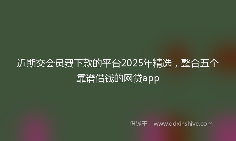 近期交会员费下款的平台2025年精选，整合五个靠谱借钱的网贷app