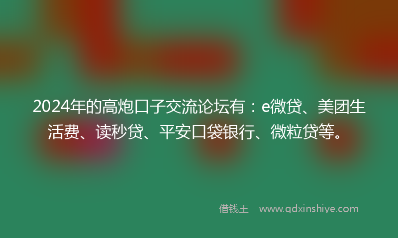 2024年的高炮口子交流论坛有：e微贷、美团生活费、读秒贷、平安口袋银行、微粒贷等。