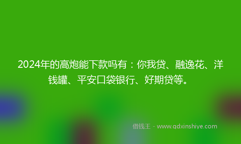 2024年的高炮能下款吗有：你我贷、融逸花、洋钱罐、平安口袋银行、好期贷等。