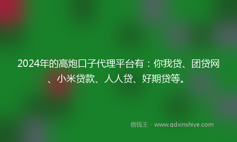 2024年的高炮口子代理平台有：你我贷、团贷网、小米贷款、人人贷、好期贷等。