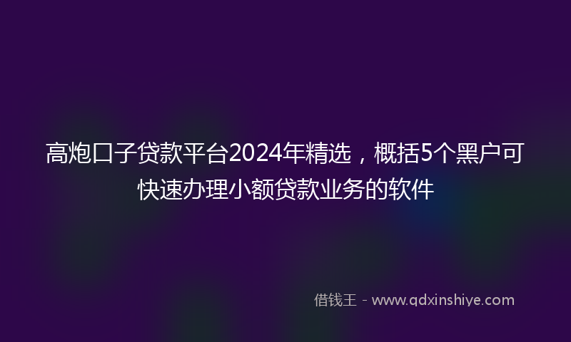 高炮口子贷款平台2024年精选，概括5个黑户可快速办理小额贷款业务的软件