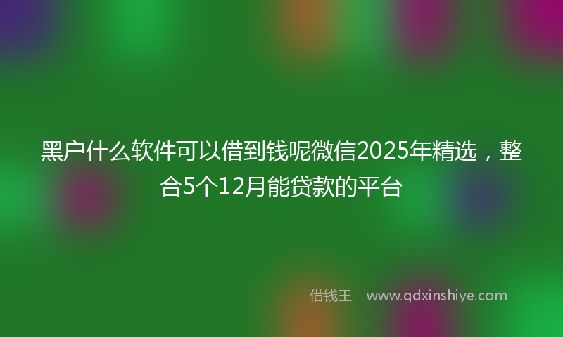 黑户什么软件可以借到钱呢微信2025年精选，整合5个12月能贷款的平台