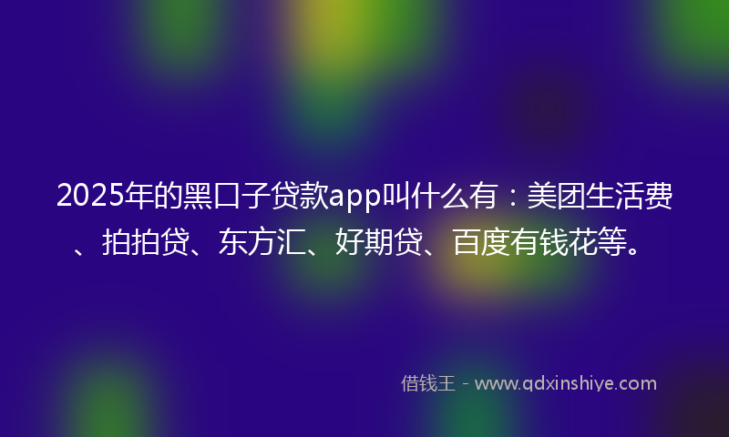 2025年的黑口子贷款app叫什么有：美团生活费、拍拍贷、东方汇、好期贷、百度有钱花等。