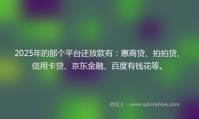 2025年的那个平台还放款有：惠商贷、拍拍贷、信用卡贷、京东金融、百度有钱花等。