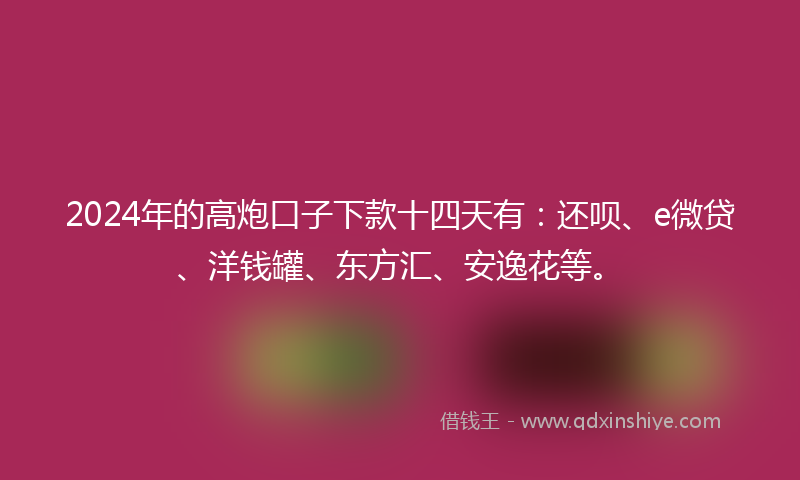 2024年的高炮口子下款十四天有：还呗、e微贷、洋钱罐、东方汇、安逸花等。