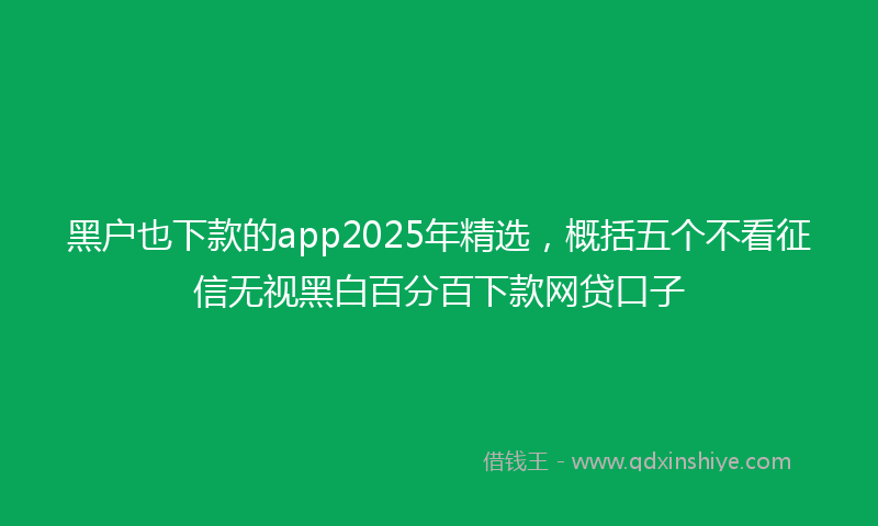 黑户也下款的app2025年精选，概括五个不看征信无视黑白百分百下款网贷口子