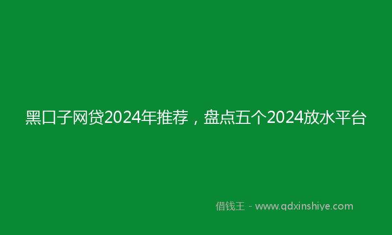 黑口子网贷2024年推荐，盘点五个2024放水平台