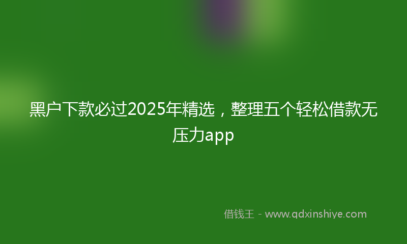 黑户下款必过2025年精选，整理五个轻松借款无压力app