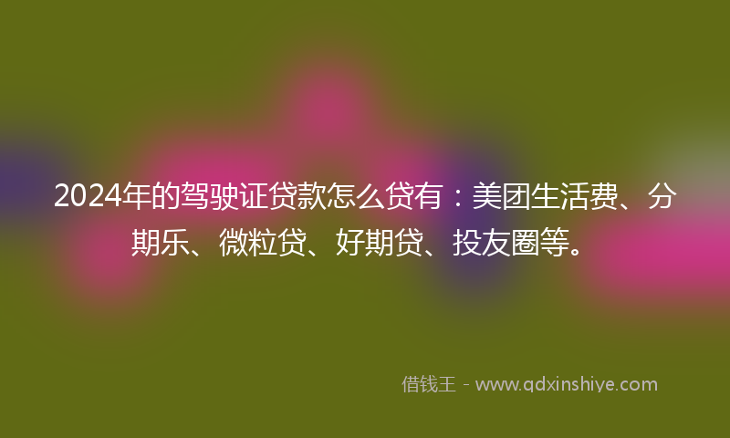 2024年的驾驶证贷款怎么贷有：美团生活费、分期乐、微粒贷、好期贷、投友圈等。