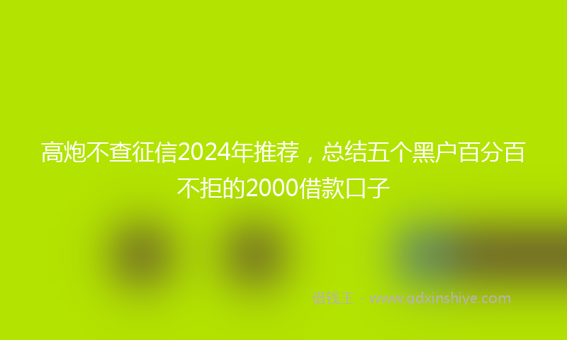 高炮不查征信2024年推荐，总结五个黑户百分百不拒的2000借款口子