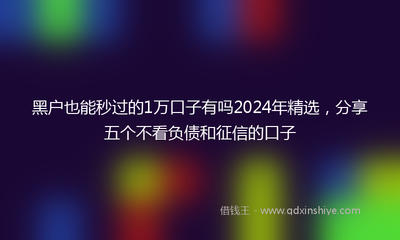 黑户也能秒过的1万口子有吗2024年精选，分享五个不看负债和征信的口子