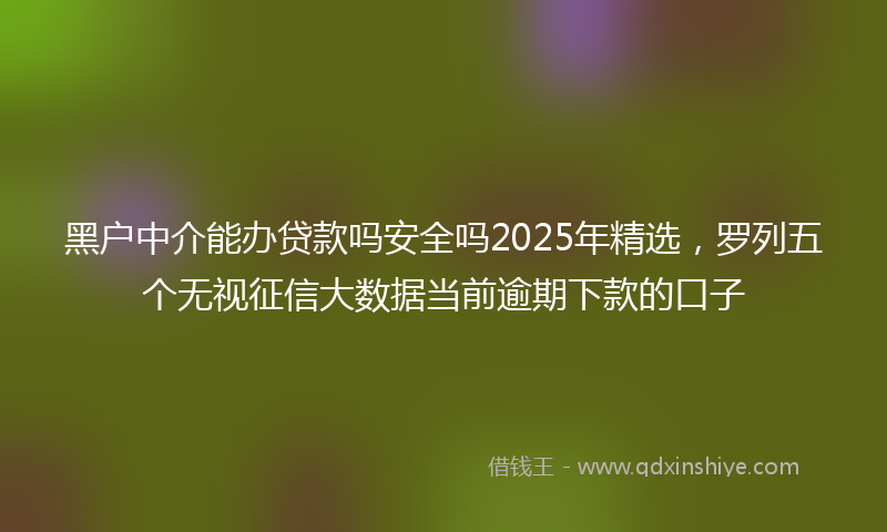 黑户中介能办贷款吗安全吗2025年精选，罗列五个无视征信大数据当前逾期下款的口子