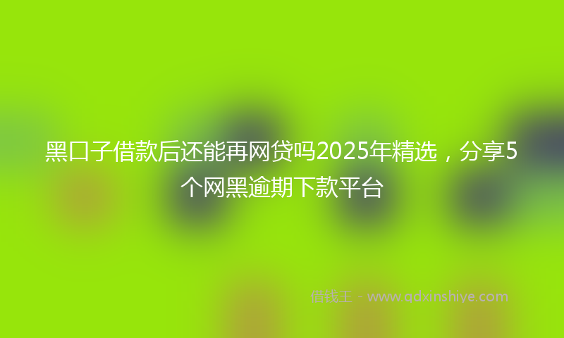 黑口子借款后还能再网贷吗2025年精选，分享5个网黑逾期下款平台