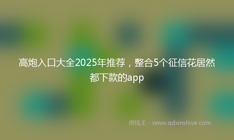 高炮入口大全2025年推荐，整合5个征信花居然都下款的app
